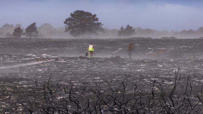The extent of the fire damage at Dunwich Heath August 2026